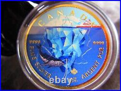 2017 ICEBERG WHALE SHIP 1oz Silver Maple $5 Coin with Gold & Color