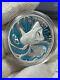 2022-Australian-Great-White-Shark-1-oz-Silver-Colored-Proof-Coin-01-op