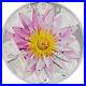 2022-Palau-Lotus-Flower-2oz-Silver-Colored-Proof-Coin-01-bah