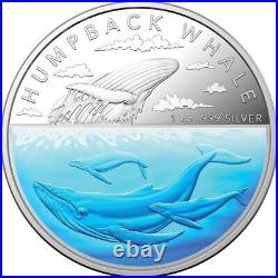 2023 Australia Humpback Whale Proof Colorized 1 oz Silver Coin 3,000 Mintage