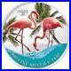 2023-Cameroon-Pink-Flamingo-Bird-Silver-Color-Coin-Caribbean-Wildlife-WWF-Fauna-01-gl