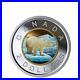 Rare-Canada-Silver-Colored-Toonie-Coin-Colorised-Polar-Bear-UNC-2019-01-dl